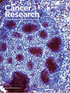 American Journal of Cancer Research雜志封面